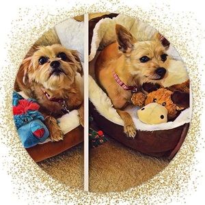 Meet your Posher, Roger